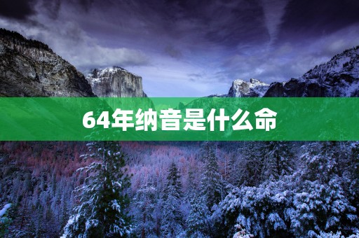 64年纳音是什么命