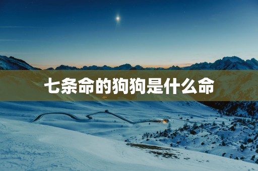 七条命的狗狗是什么命