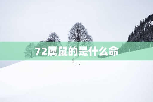 72属鼠的是什么命