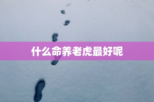 什么命养老虎最好呢
