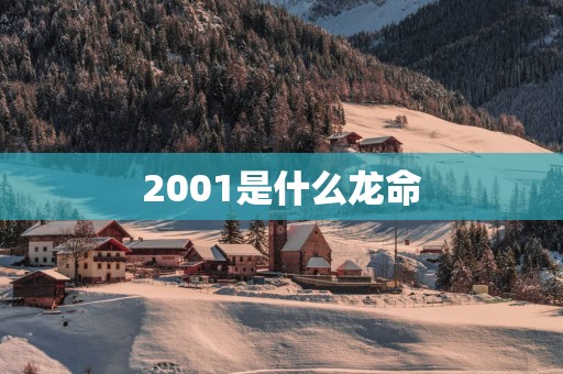 2001是什么龙命