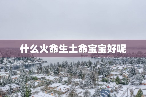 什么火命生土命宝宝好呢