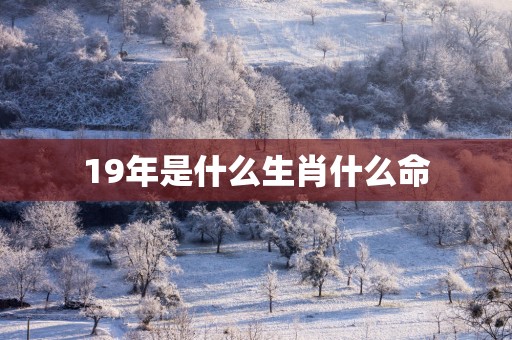 19年是什么生肖什么命