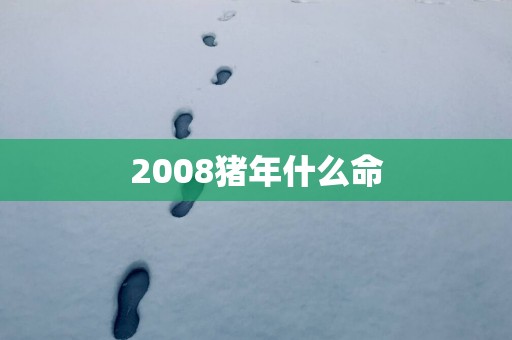 2008猪年什么命