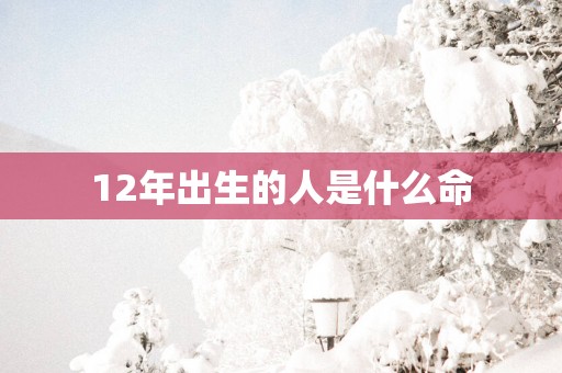 12年出生的人是什么命