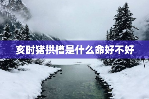 亥时猪拱槽是什么命好不好