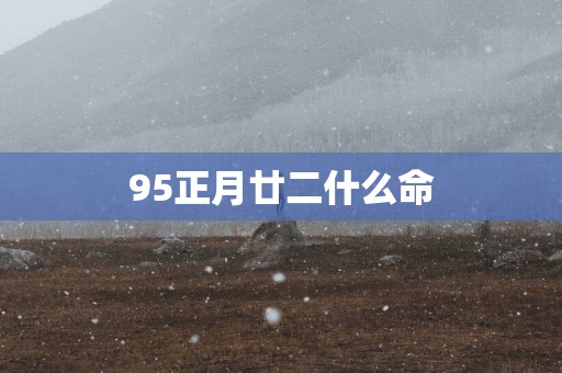 95正月廿二什么命