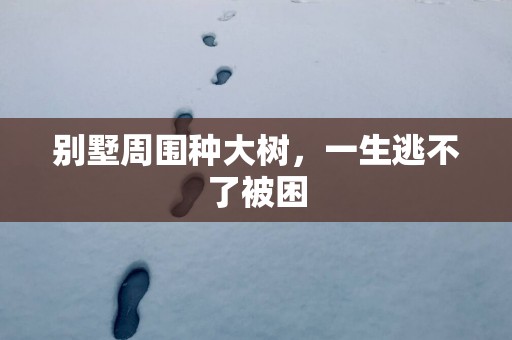 别墅周围种大树，一生逃不了被困