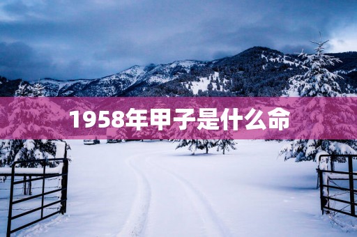 1958年甲子是什么命