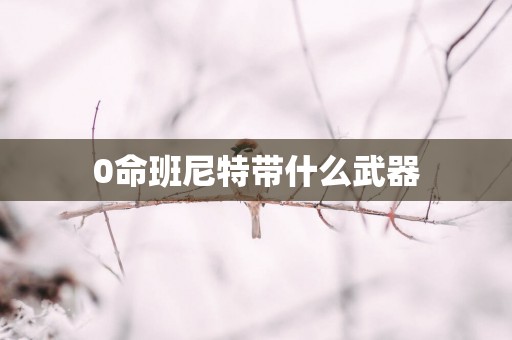 0命班尼特带什么武器