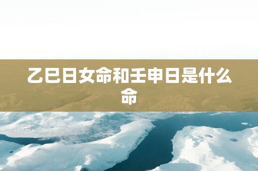 乙巳日女命和壬申日是什么命