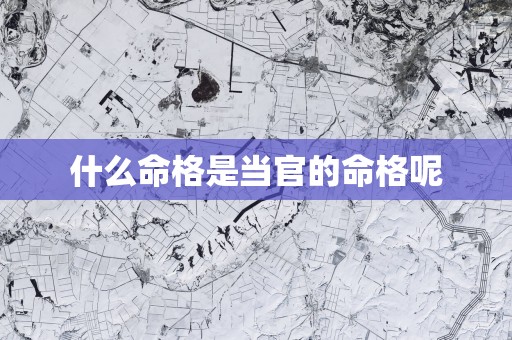 什么命格是当官的命格呢