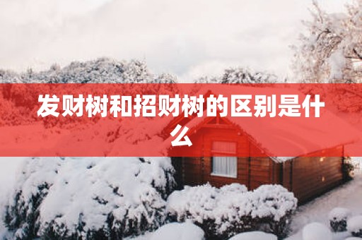 发财树和招财树的区别是什么