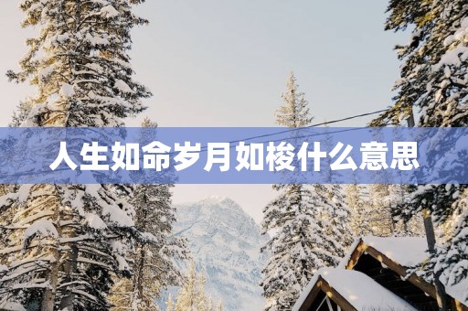 人生如命岁月如梭什么意思
