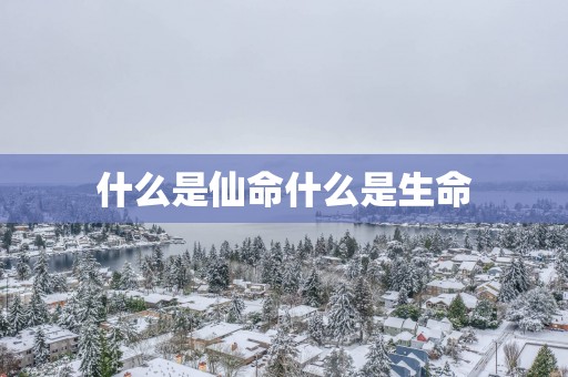 什么是仙命什么是生命