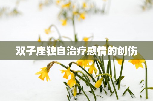 双子座独自治疗感情的创伤