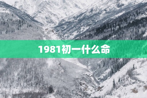 1981初一什么命