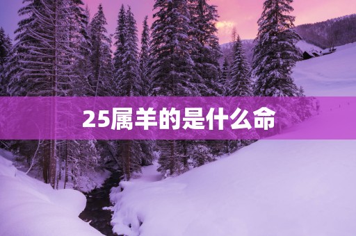 25属羊的是什么命