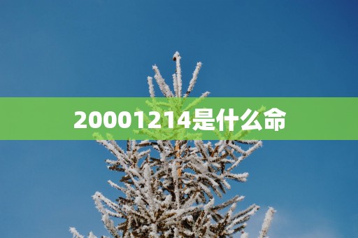 20001214是什么命