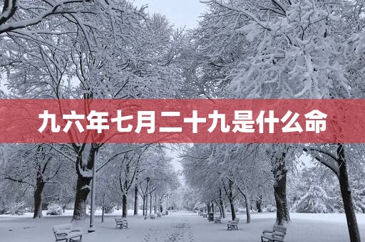 九六年七月二十九是什么命