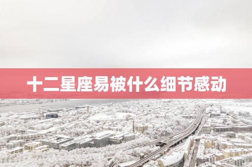 十二星座易被什么细节感动