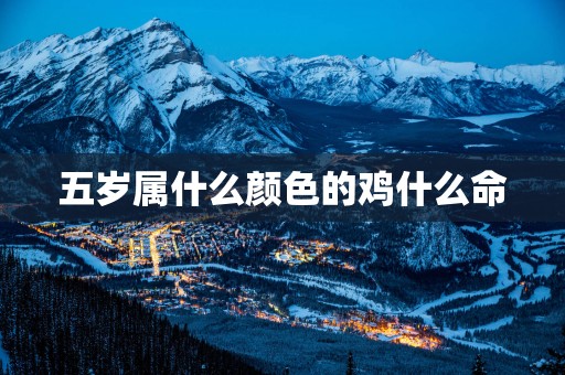 五岁属什么颜色的鸡什么命
