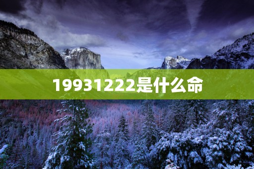 19931222是什么命