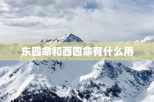 东四命和西四命有什么用