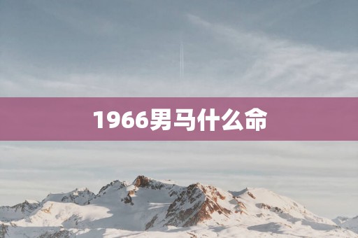 1966男马什么命