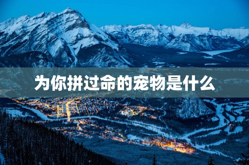 为你拼过命的宠物是什么