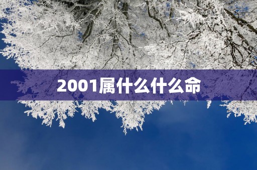 2001属什么什么命