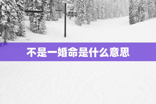 不是一婚命是什么意思