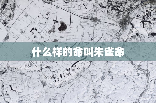 什么样的命叫朱雀命