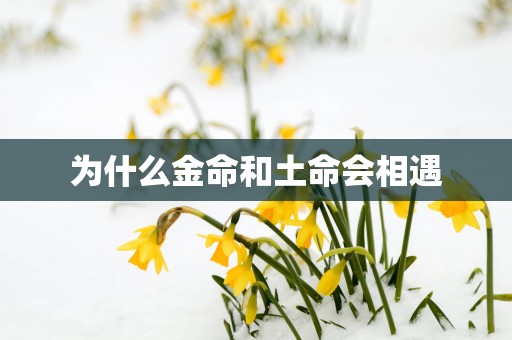 为什么金命和土命会相遇