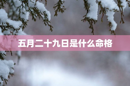五月二十九日是什么命格