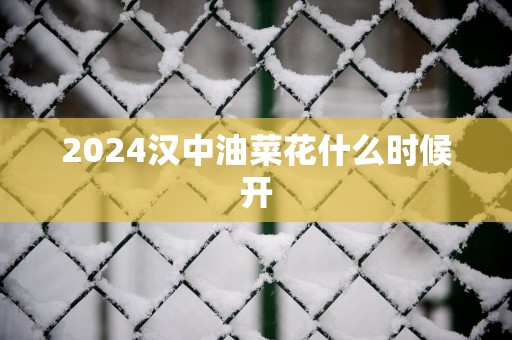 2025汉中油菜花什么时候开