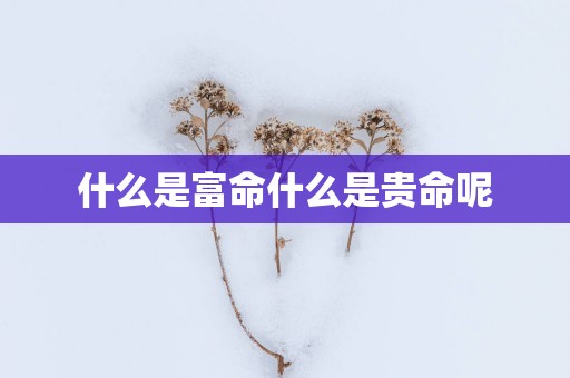 什么是富命什么是贵命呢