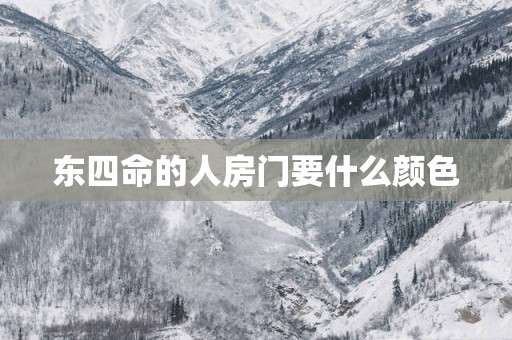 东四命的人房门要什么颜色