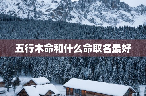 五行木命和什么命取名最好