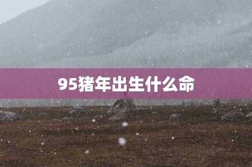 95猪年出生什么命