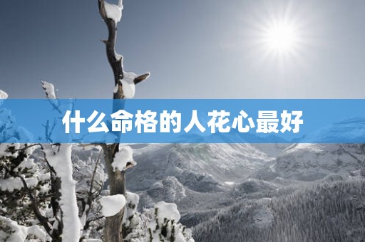 什么命格的人花心最好