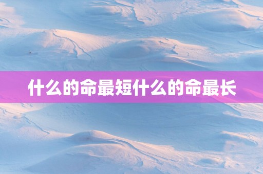 什么的命最短什么的命最长
