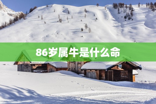 86岁属牛是什么命