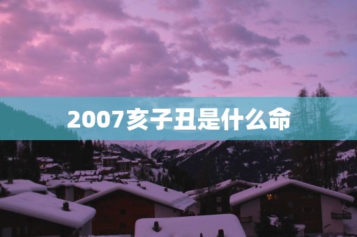 2007亥子丑是什么命