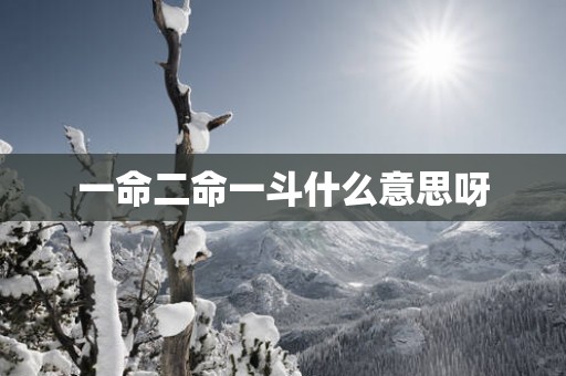 一命二命一斗什么意思呀