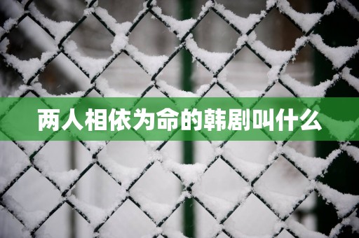 两人相依为命的韩剧叫什么