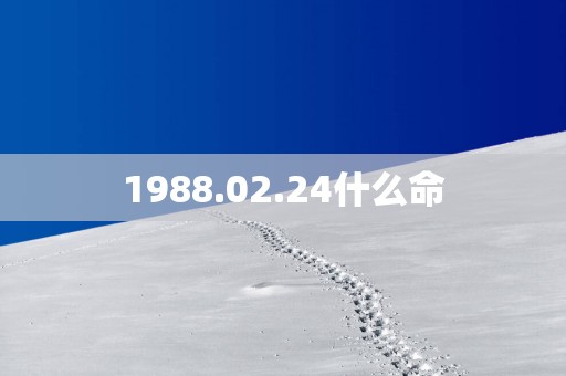 1988.02.24什么命
