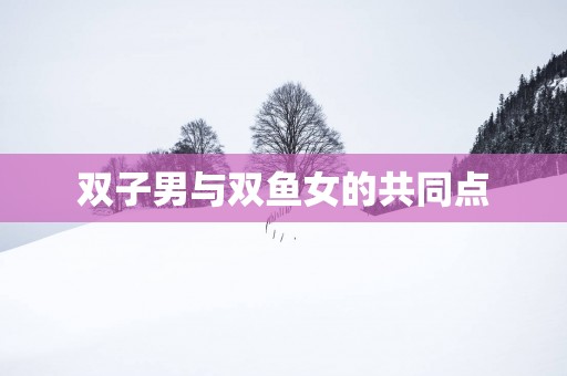 双子男与双鱼女的共同点