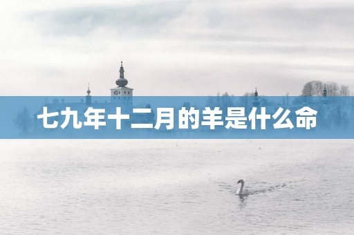七九年十二月的羊是什么命