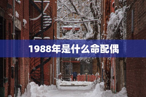 1988年是什么命配偶